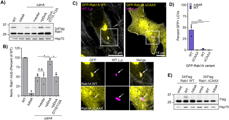 Figure 4: