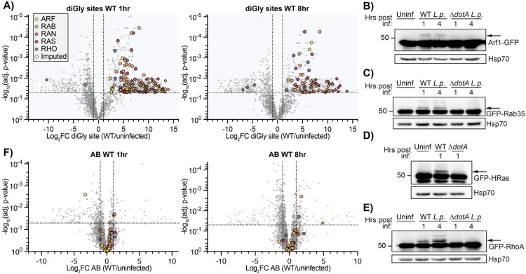 Figure 2: