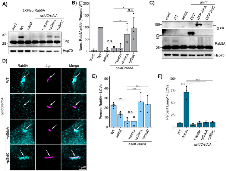 Fig 6: