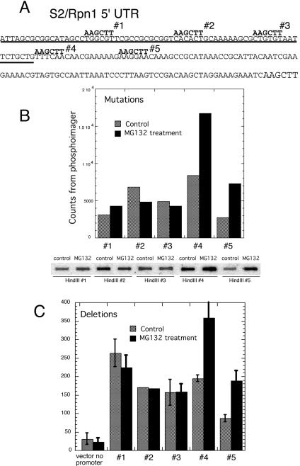 FIG. 7.