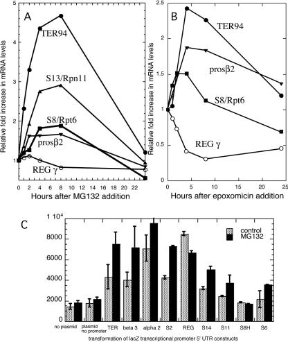 FIG. 4.