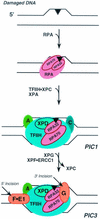 FIG. 8.