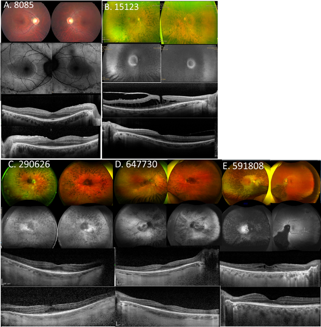 Figure 4.