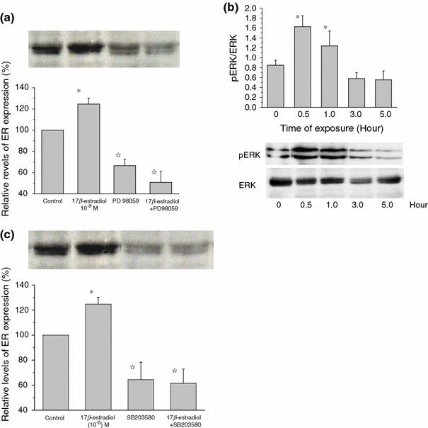 Fig. 7