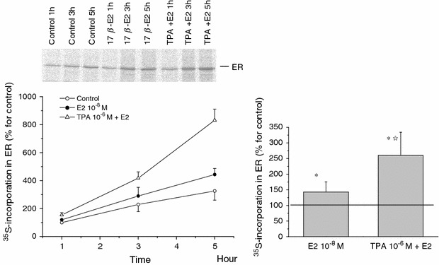 Fig. 6