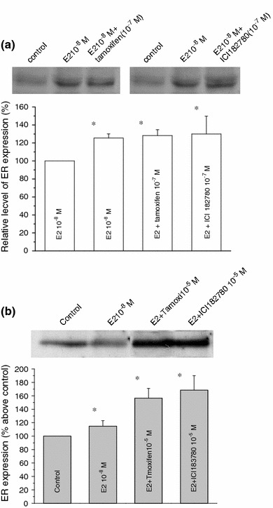 Fig. 5