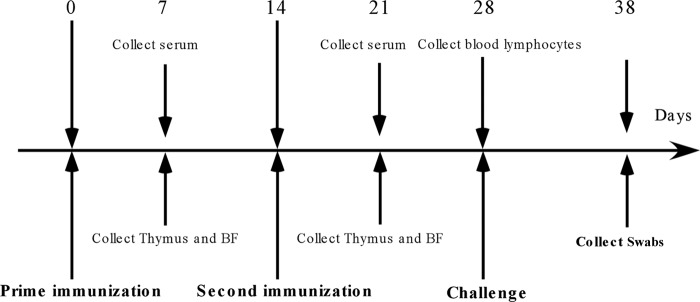 FIG 1