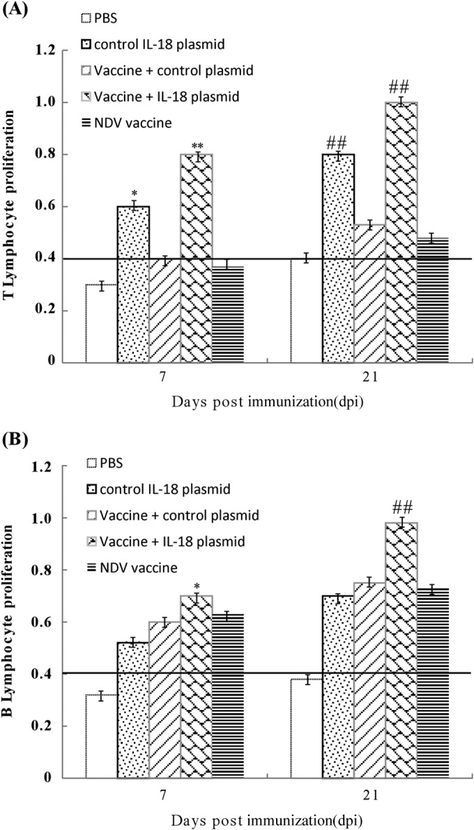 FIG 6