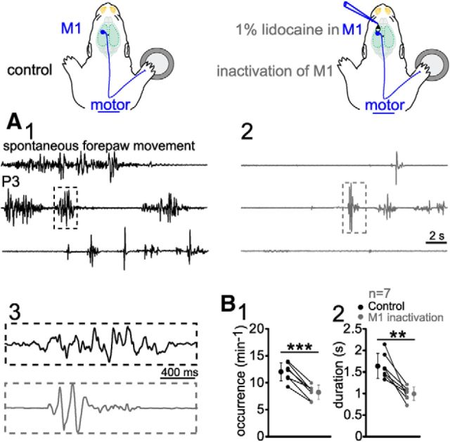 Figure 10.