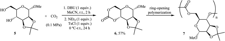 Scheme 5