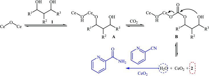 Scheme 3