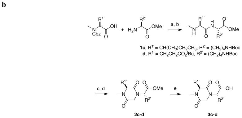 Scheme 1