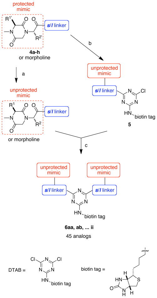 Scheme 2