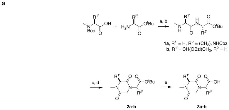 Scheme 1