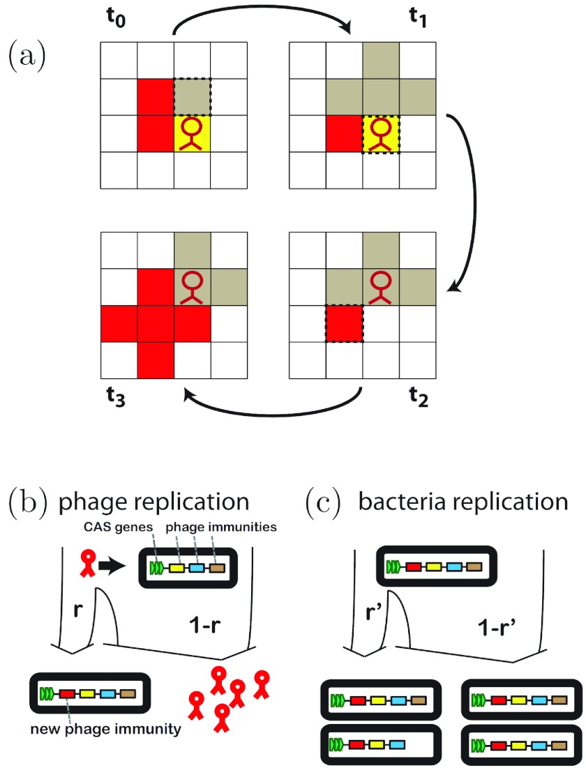 FIG 1 