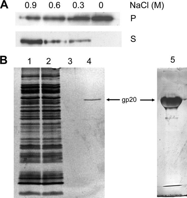 Fig 5