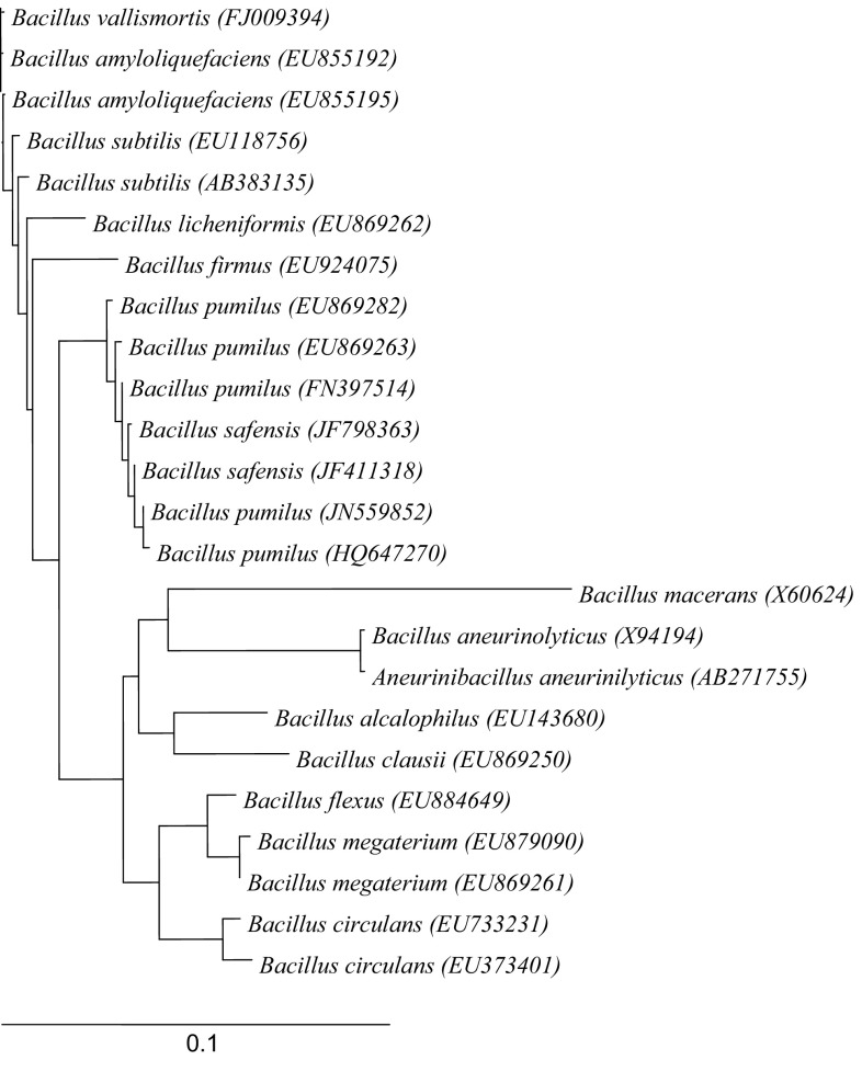 Fig. 1