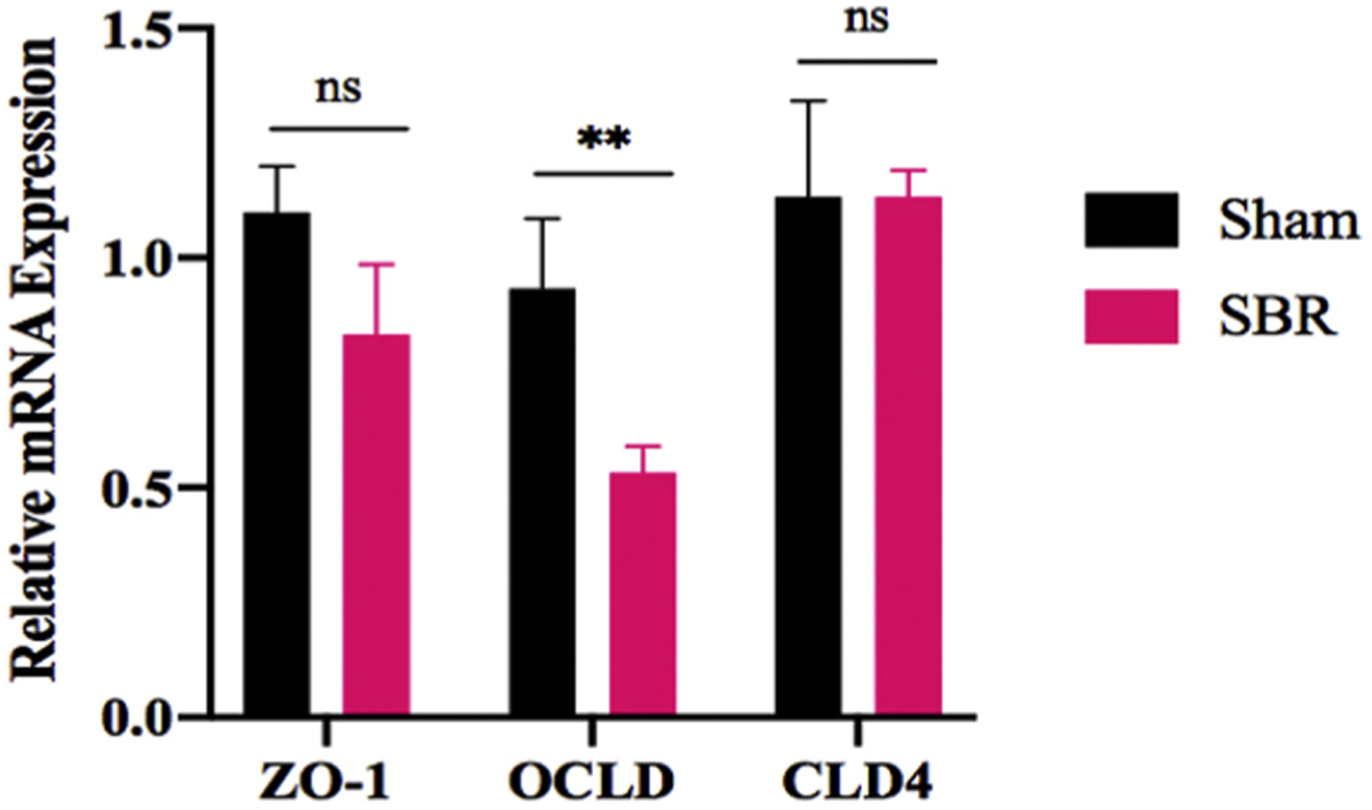 Fig. 4 –