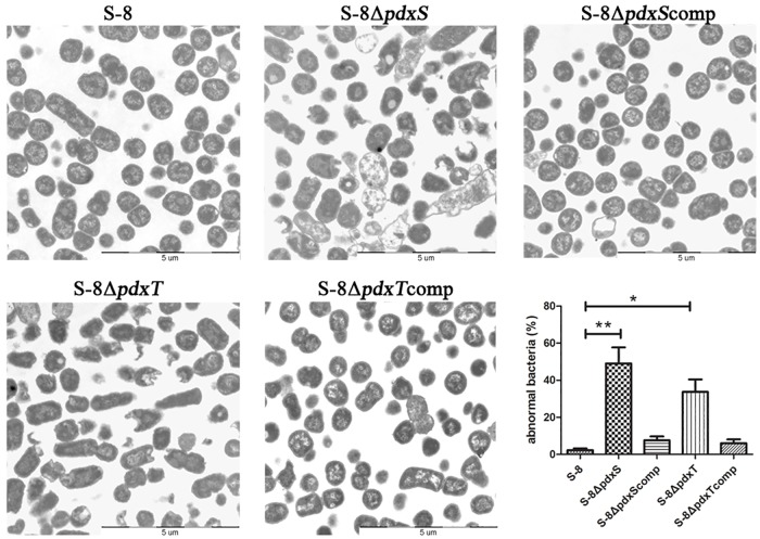 Fig 6