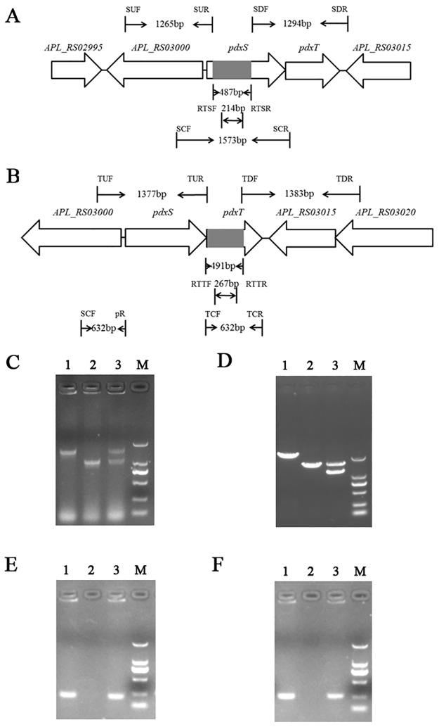 Fig 2