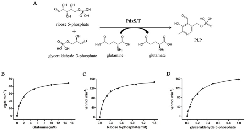 Fig 1