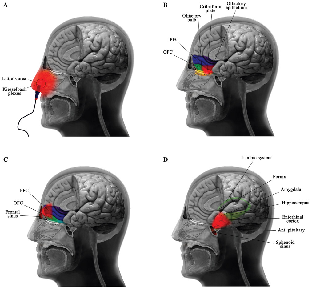 Figure 2: