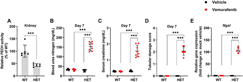 Figure 7: