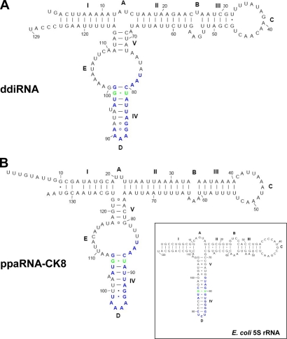 Fig. 8.