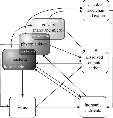 Figure 1.