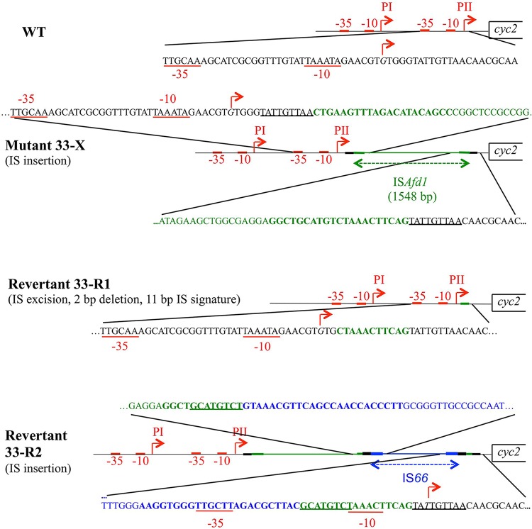 FIG 2