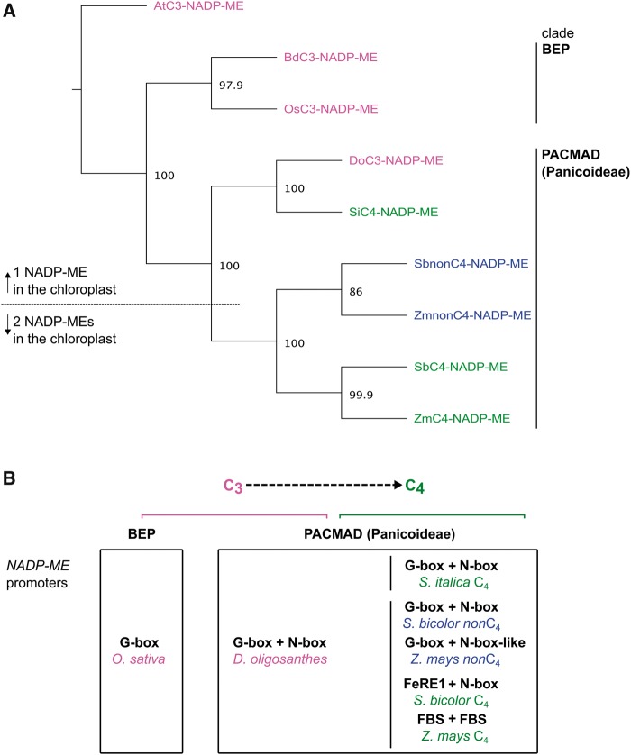 Fig. 6.