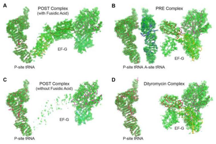 Figure 2