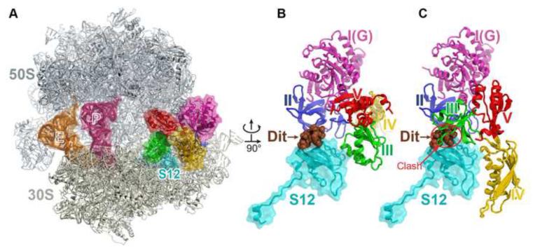 Figure 6