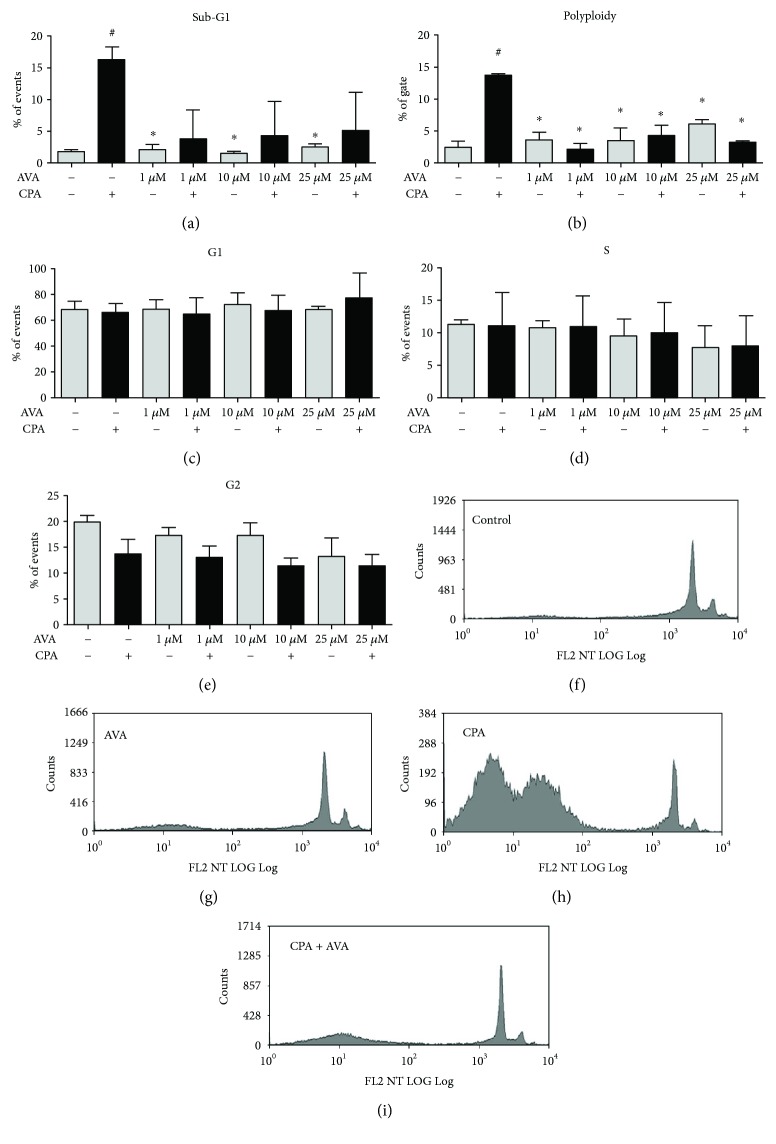 Figure 5