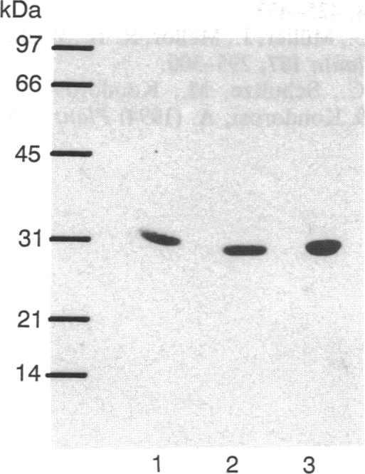 graphic file with name pnas01128-0227-a.jpg