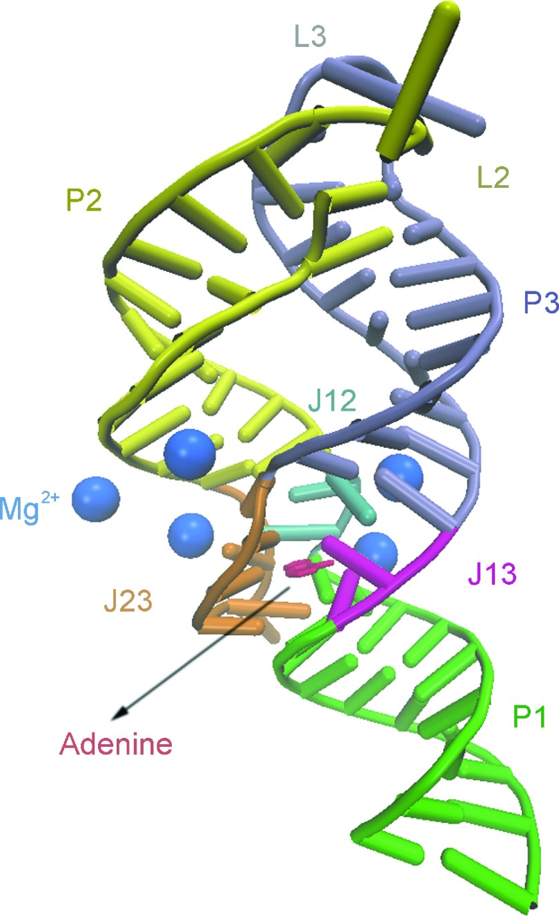 FIG. 1.