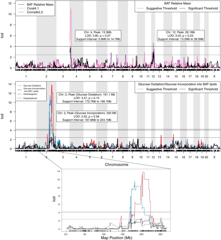 Fig. 3.