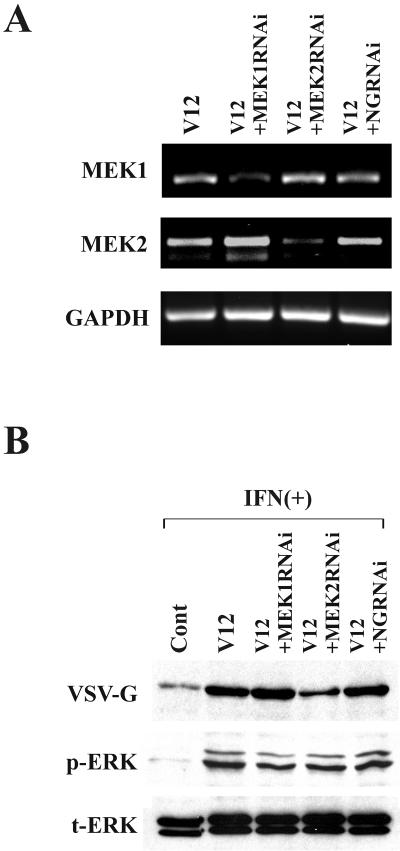 FIG. 5.