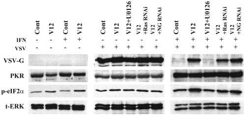 FIG. 7.