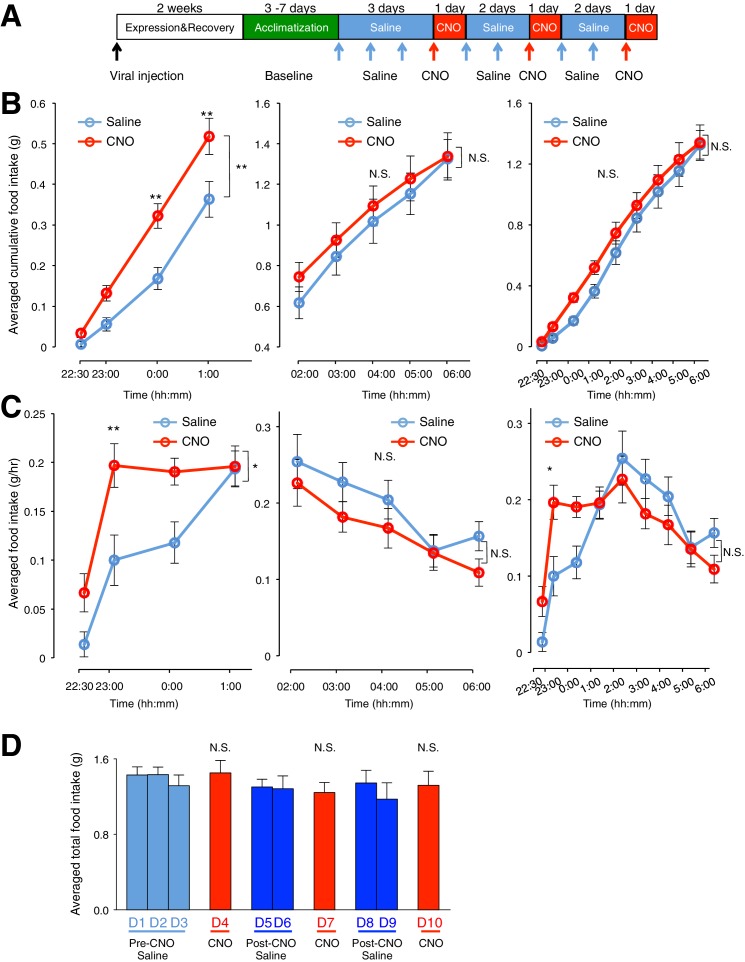 Figure 2—figure supplement 2.