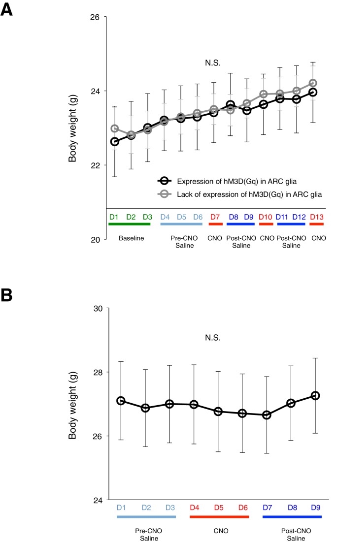 Figure 2—figure supplement 6.