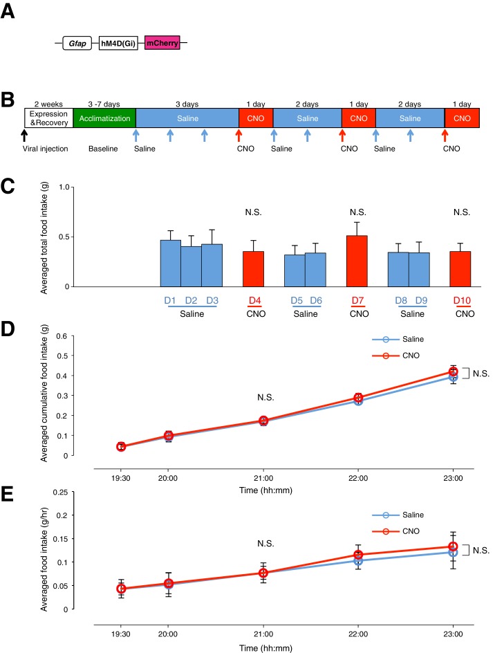 Figure 6—figure supplement 1.