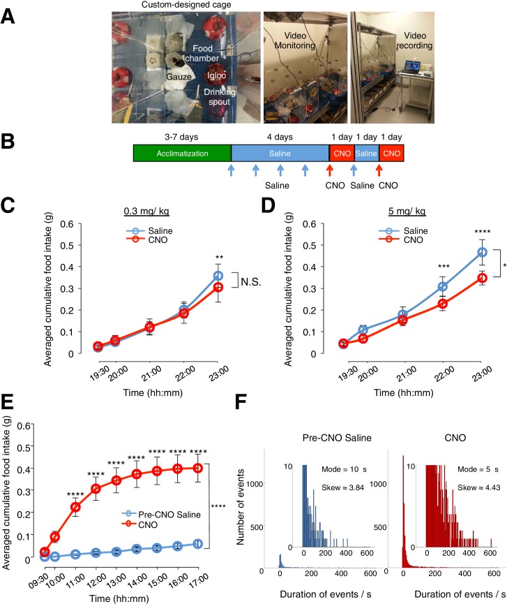 Figure 2—figure supplement 1.