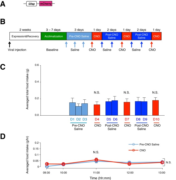 Figure 2—figure supplement 5.