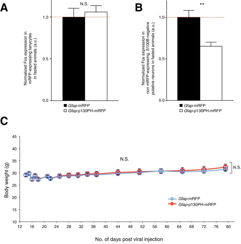 Figure 3—figure supplement 1.