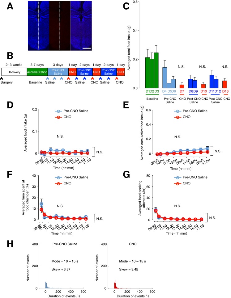 Figure 2—figure supplement 4.