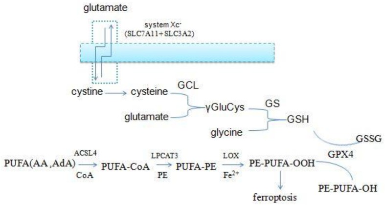 FIGURE 3