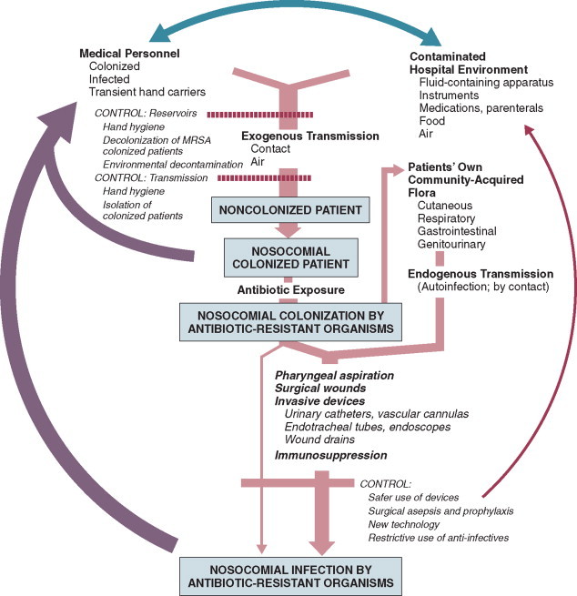 Nosocomial Infection in the Intensive Care Unit - PMC