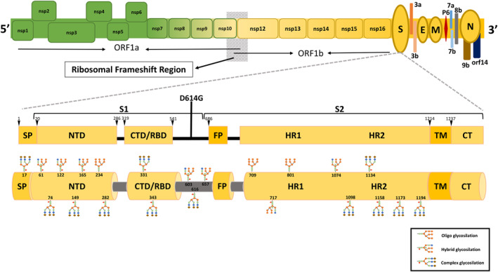 FIGURE 1