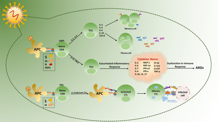 FIGURE 3